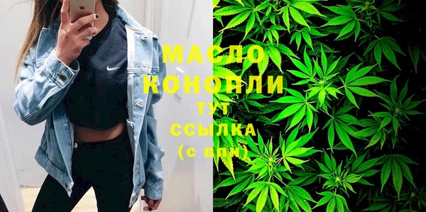 индика Верхний Тагил