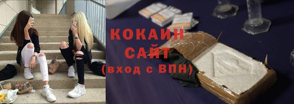 индика Верхний Тагил