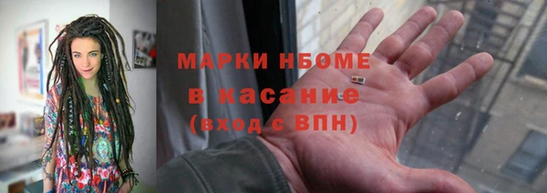 индика Верхний Тагил