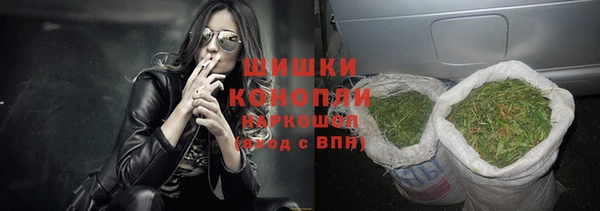 индика Верхний Тагил