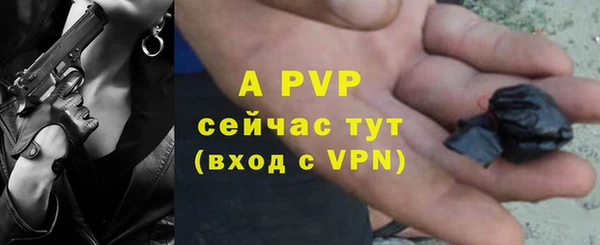индика Верхний Тагил