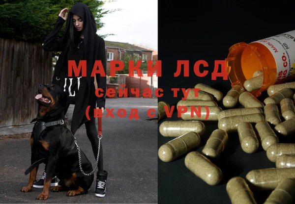 индика Верхний Тагил