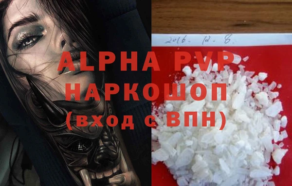 индика Верхний Тагил