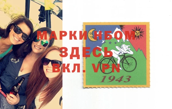 индика Верхний Тагил