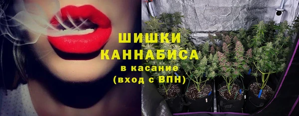 индика Верхний Тагил