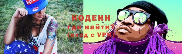 индика Верхний Тагил