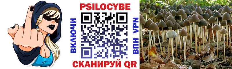 мега ССЫЛКА  Вологда  Псилоцибиновые грибы Psilocybe 