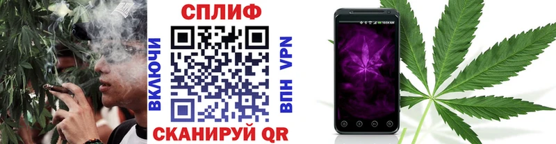 Бошки марихуана White Widow  как найти   Вологда 